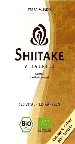 Shiitake Vitalpilz