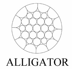 ALLIGATOR