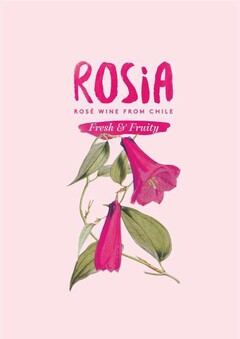 ROSiA ROSÉ WINE FROM CHILE Fresh & Fruity