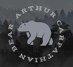 ARTHUR CARPATHIAN BEAR