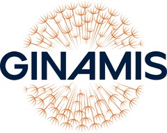 GINAMIS