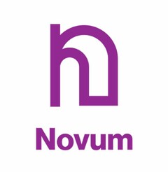 N Novum