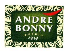 ANDRE BONNY DEPUIS 1934