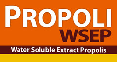 PROPOLI WSEP Water Soluble Extract Propolis