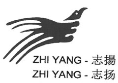 ZHI YANG