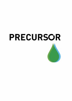 PRECURSOR