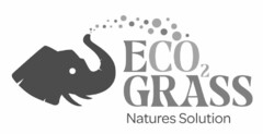 ECO2 GRASS Natures Solution