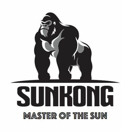 SUNKONG MASTER OF THE SUN