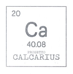 20 - CA - 40.08 - PROGETTO CALCARIUS