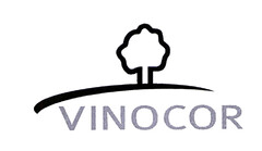 VINOCOR