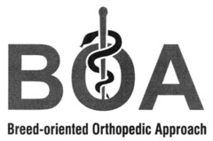 BOA Breed-oriented Orthopedia Approach