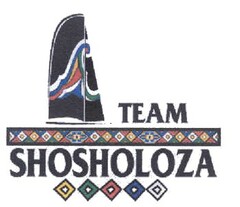 TEAM SHOSHOLOZA