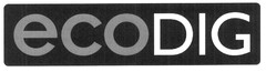 ECODIG