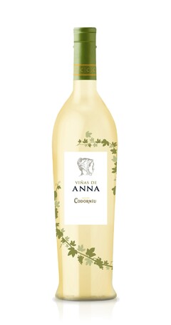 VIÑAS DE ANNA DESDE 1551 CODORNÍU