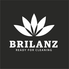 BRILANZ READY FOR CLEANING