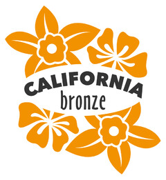 CALIFORNIA bronze