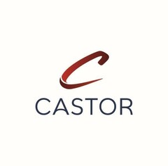 CASTOR