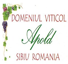 DOMENIUL VITICOL APOLD SIBIU ROMANIA