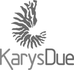 KarysDue