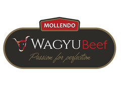 MOLLENDO WAGYUBEEF PASSION FOR PERFECTION