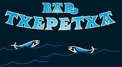 BAR TXEPETXA