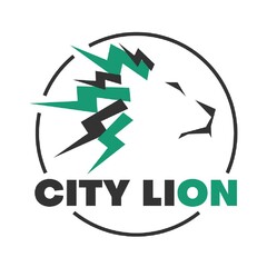 CITY LION