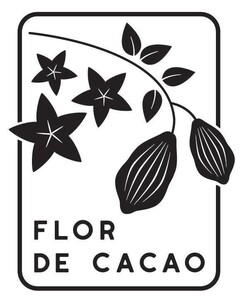 FLOR DE CACAO