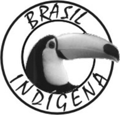 BRASIL INDIGENA