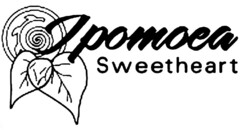 Ipomoea Sweetheart