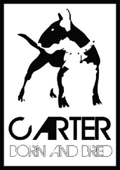 CARTER BORN AND BRED