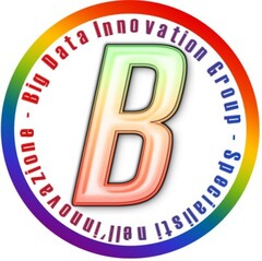 B Big Data Innovation Group Specialisti nell'innovazione