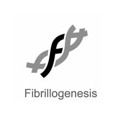 Fibrillogenesis