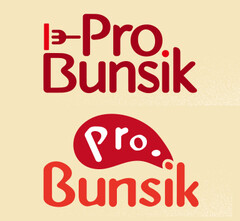 ProBunsik ProBunsik