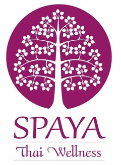 SPAYA Thai Wellness