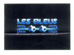 LES BLEUS 2002 *À LA CONQUÊTE D'UNE 2ème COUPE DU MONDE*