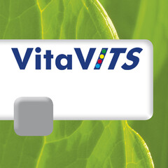 VitaVITS