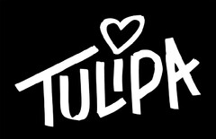 Tulipa