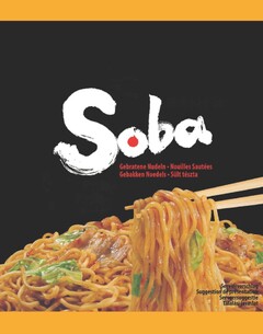 Soba Gebratene Nudeln Nouilles Sautées Gebakken Noedels Sült tészta