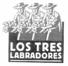 LOS TRES LABRADORES