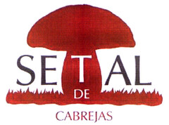 SETAL DE CABREJAS