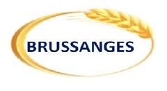 BRUSSANGES