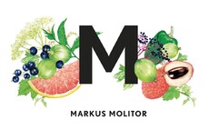 M MARKUS MOLITOR