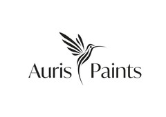 Auris Paints