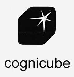 cognicube