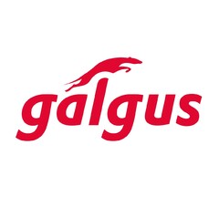 Galgus