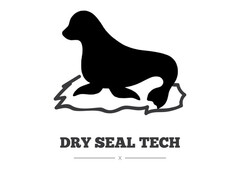 DRY SEAL TECH