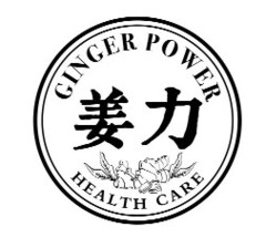 GINGER POWER HEALTH CARE