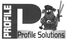 P PROFILE Profile Solutions