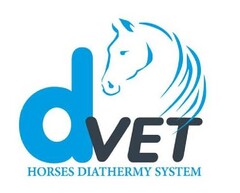 DVET horses diathermy system