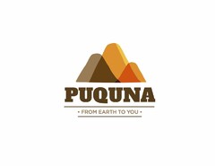 Puquna  From Earth To You